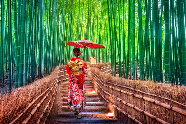 Investment Outlook for Japanese Equities