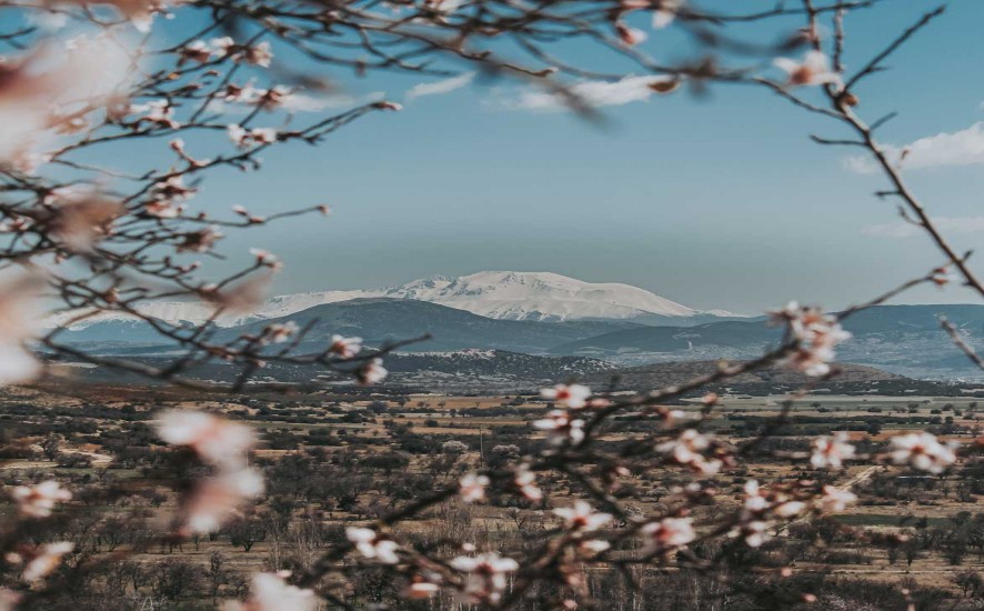 Viewpoints by Hennessy with Masa Takeda