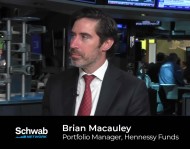 Schwab Network – “Emerging Opportunities Beyond Mega Caps”